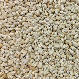 Russian Safflower Seed