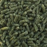 Alfalfa Silage Pellets
